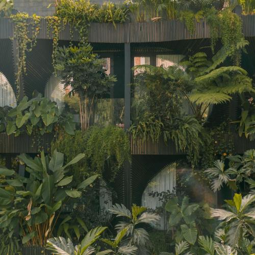 Selvario 36 Hotel, Medellín (photo 3)