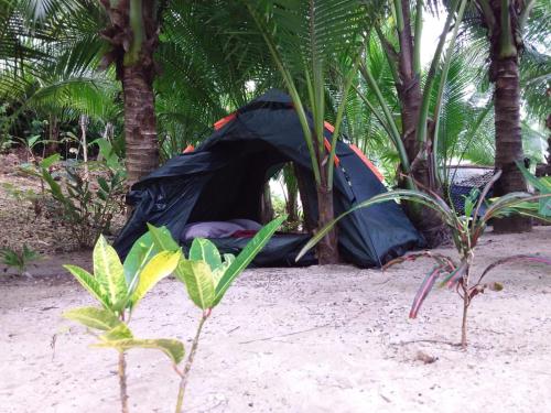 Port Antonio Brian's Beach House – Port Antonio
