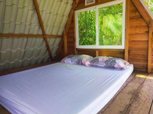 Maney Hill Camp in Bangued