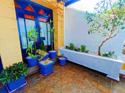 Les jardins de la lagune