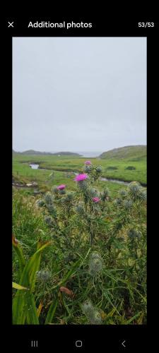 Oldshoremore Croft Cabins