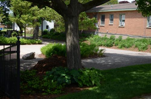 Ludington Blue Spruce Inn - image 31