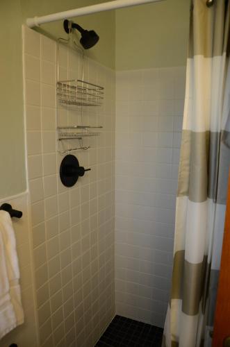 Ludington Blue Spruce Inn - image 35