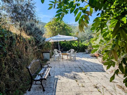 Dārzs, Vila da Fonte - Peaceful 3-bedroom Villa with Private Pool, Central Portugal in Campelo