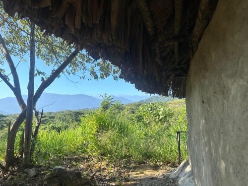 Tipiland, Palomino (photo 8)