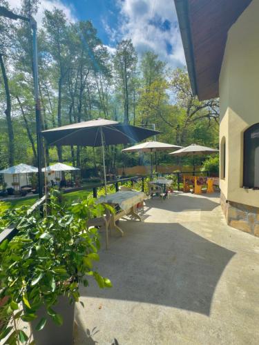 Faciliteiten, Villa Janet in Dolna Banya