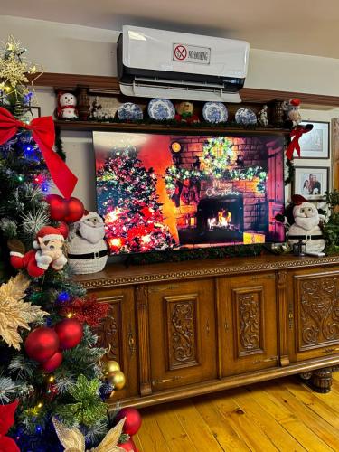 設施, Villa Janet in 下巴尼亞