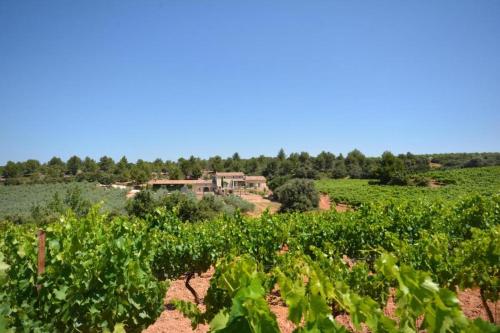Domaine de Villemus 5