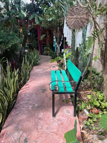 Casa xtabay in Valladolid, Mexico