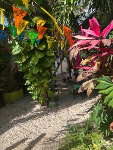 Casa xtabay in Valladolid, Mexico