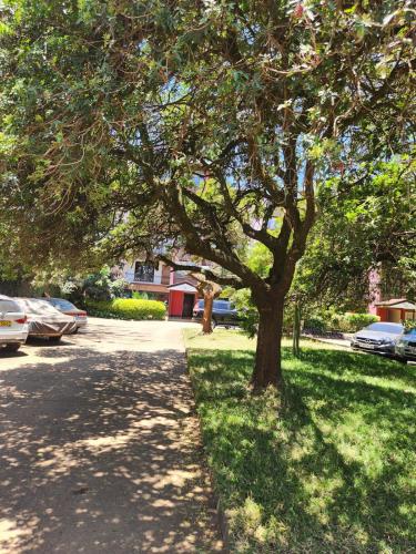 The homely spot, Westlands in Nairobi