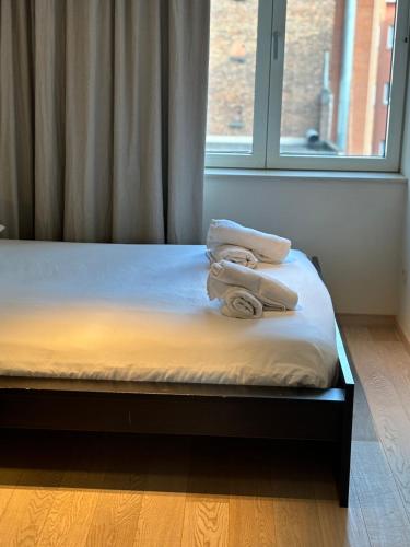 Comfortable Two bedroom Apartment in City Center, Brusel (fotografie 3)