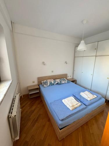 City Center Meliora Apartment, Skopje (photo 6)
