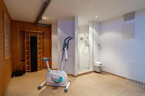 Hotel Garni Madrisa - image 12
