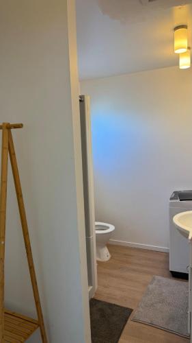 Cute Private Scienic Studio!, Auckland (photo 10)