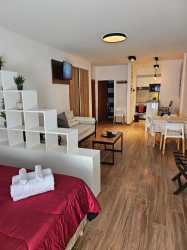 Amplio y hermoso departamento en Buenos Aires, Buenos Aires