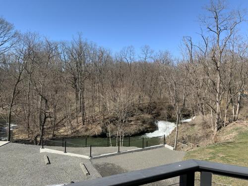 The Fallviews at Burdett Falls - image 9