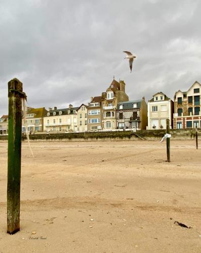 Saint-Aubin-Sur-Mer: Bel appartement traversant in Saint-Aubin-sur-Mer