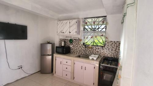 Kitchen, Twyn Apartment in Canefield