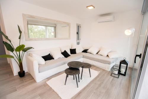 One-Bedroom Apartment image 8