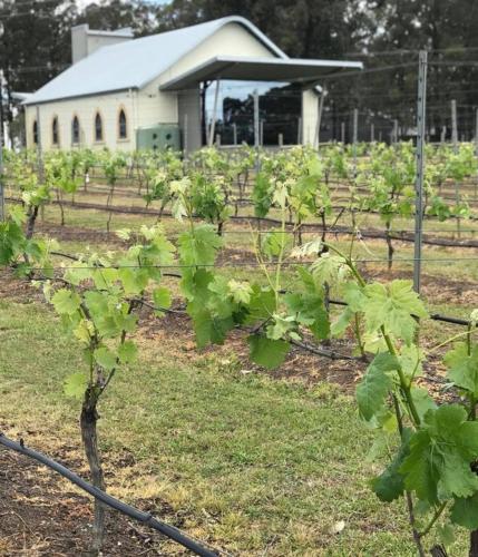 伊恩巴克6号别墅