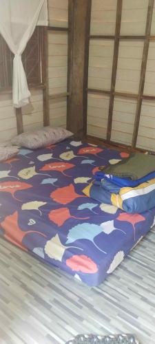 Billy the Homestay Billy the Homestay