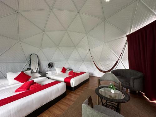 Excellent room comfort & quality