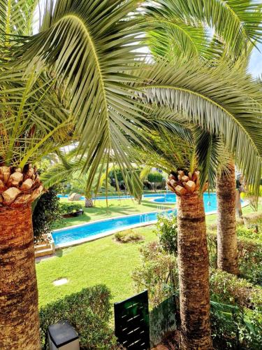 Appartement La Isla Imaré - image 4