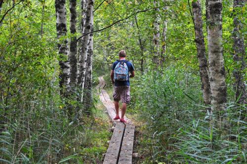 Serene Holiday Home next to Nature Reserve Serene Holiday Home next to Nature Reserve