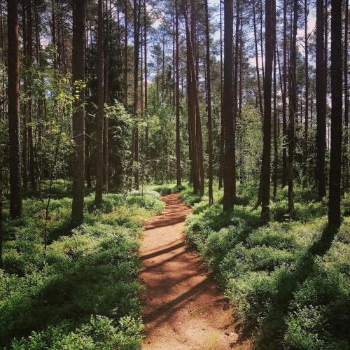 Serene Holiday Home next to Nature Reserve Serene Holiday Home next to Nature Reserve