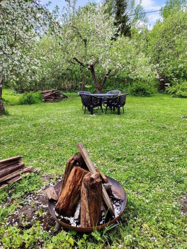 Kert, Serene Holiday Home next to Nature Reserve in Endla