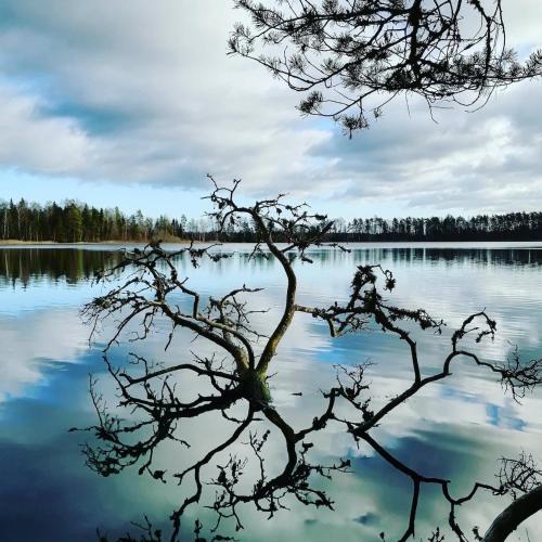Serene Holiday Home next to Nature Reserve Serene Holiday Home next to Nature Reserve