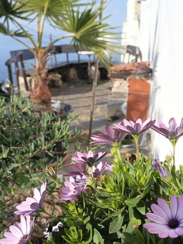 Finca Casa Madera 2 Finca Casa Madera 2