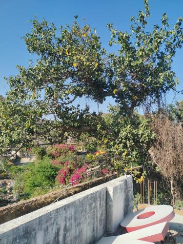 Aravalli Mount View Hotel And Restaurant in สามท