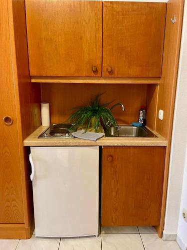 Schwanstetten bei Nurnberg, gemutliches Apartment mit Kuche Bad TV - Allersberg
