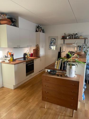 Apartment close to downtown and water, Copenhagen (photo 4)