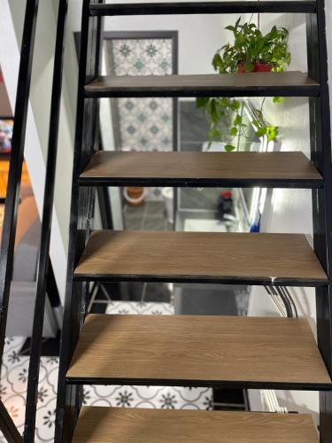 Ốc Homestay Cát Bà
