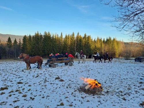 Domki U Szeryfa Dwernik in Smolnik