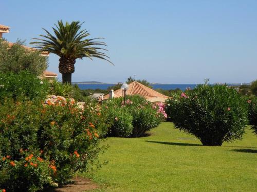 Dany's Home in Baia de Bahas