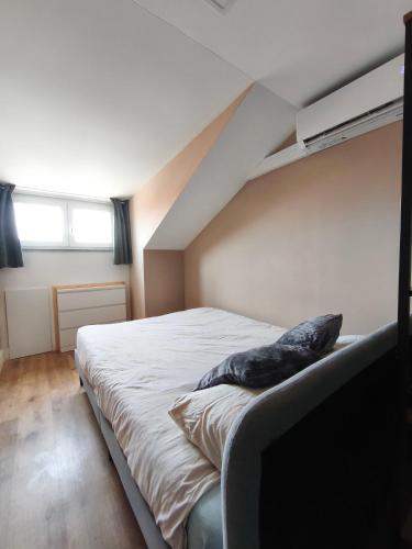 Gaia Style Room in a Shared Apartment 4