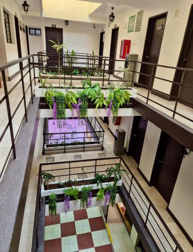 Hotel Catalina in Centro