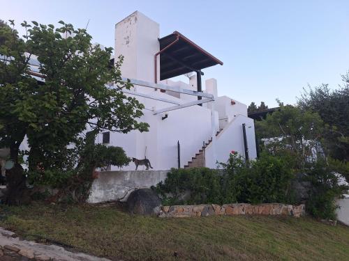 Kert, le bouganville in Quartu Sant Elena