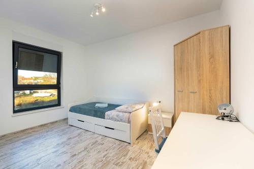 Apartment image 8