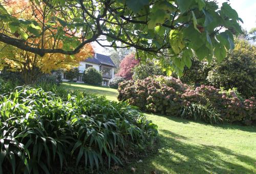 Boyanda at Ferny Creek Boyanda at Ferny Creek