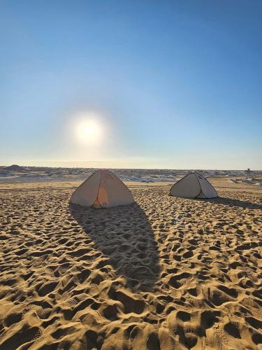 White Desert Safari With Camping in Bawiti
