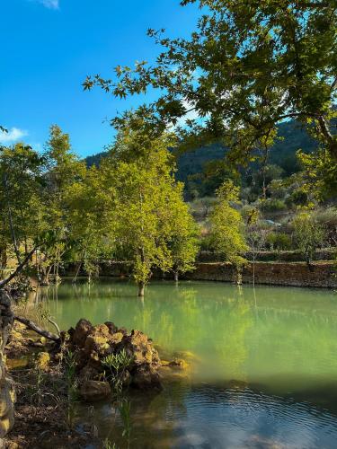Riverside Jahliye, Chouf