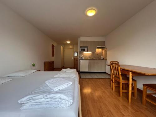 Studio avec Parking in Vionnaz, Schweiz