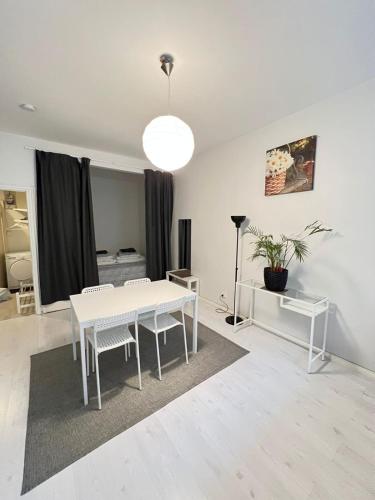Moderni siisti Studio koti jossa modernit kalusteet, Helsinky