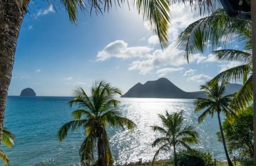 Studio GAP Studio GAP