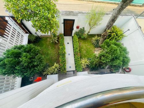 Vivid Colombo - image 10